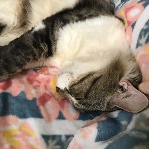 Meet your Posher, Tiffany